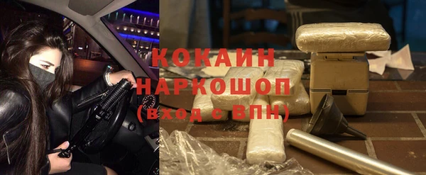 ПСИЛОЦИБИНОВЫЕ ГРИБЫ Инсар
