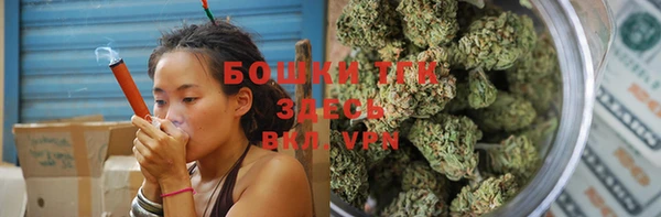 ПСИЛОЦИБИНОВЫЕ ГРИБЫ Инсар